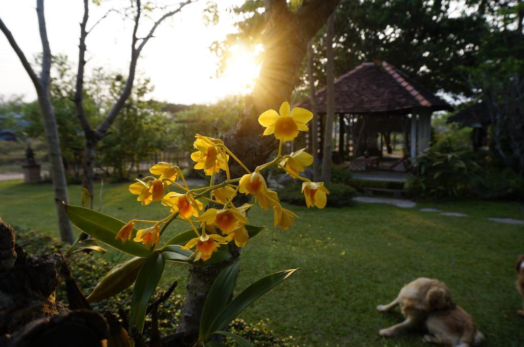 Bannamhoo Bungalows Pai Extérieur photo