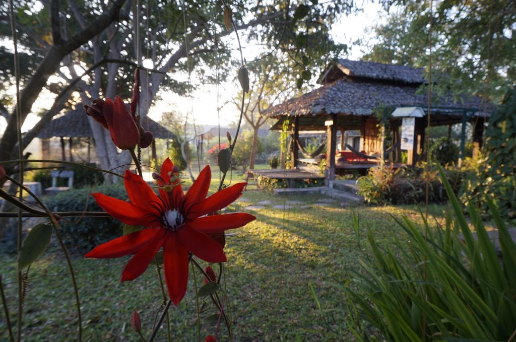 Bannamhoo Bungalows Pai Extérieur photo